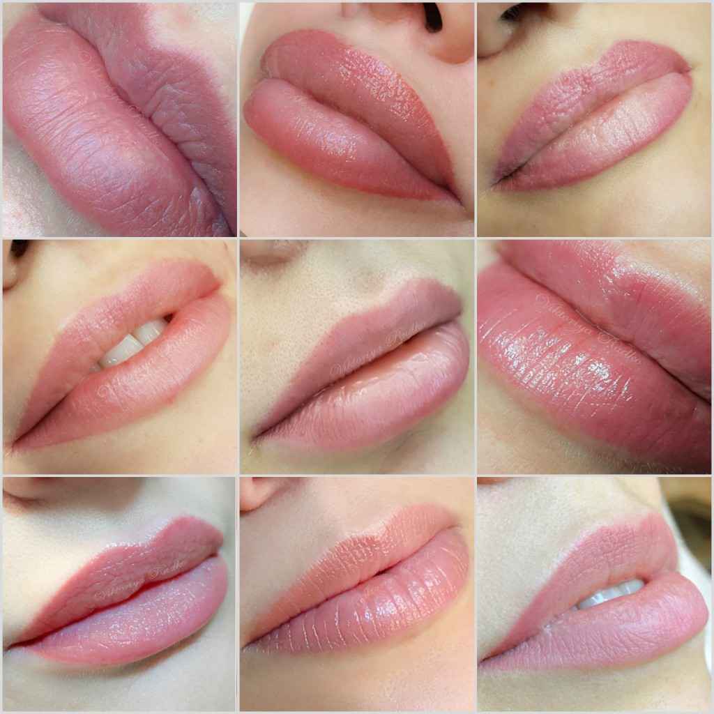 Эскиз губ для перманентного макияжа thumbnail