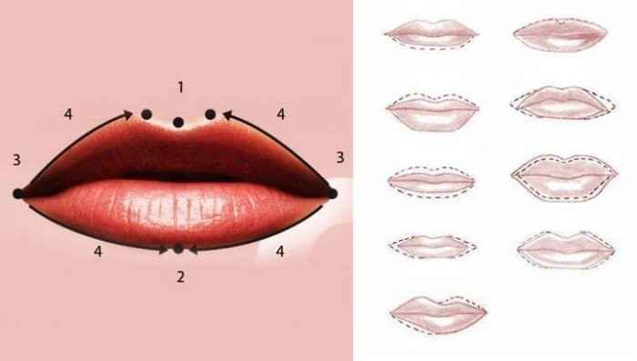 эскиз губ для перманентного макияжа