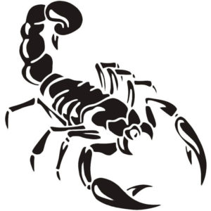 эскиз тату скорпион