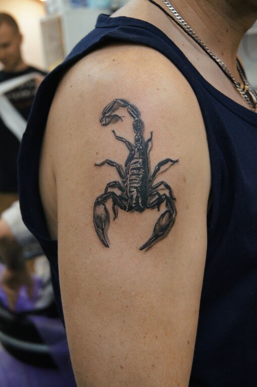 Эскизы татуировок со скорпионами