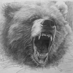 эскиз тату медведь