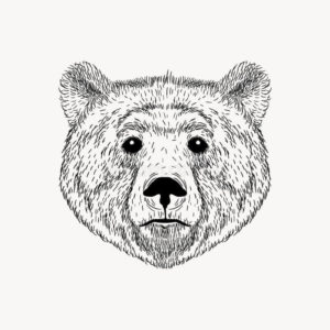 эскиз тату медведь