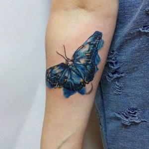 бабочка на руке картинки