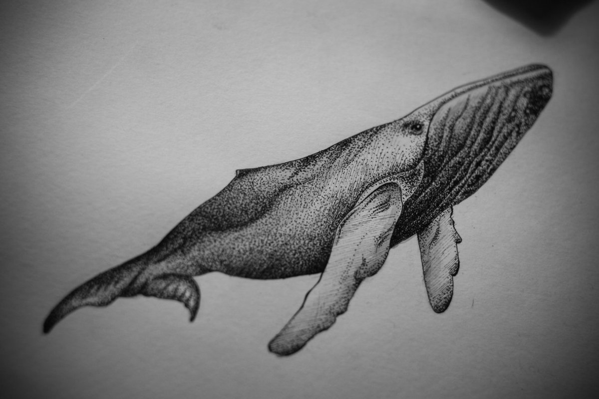 Общее значение тату кита
