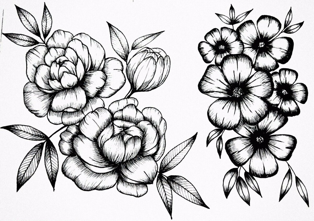 Рисунки цветов карандашом