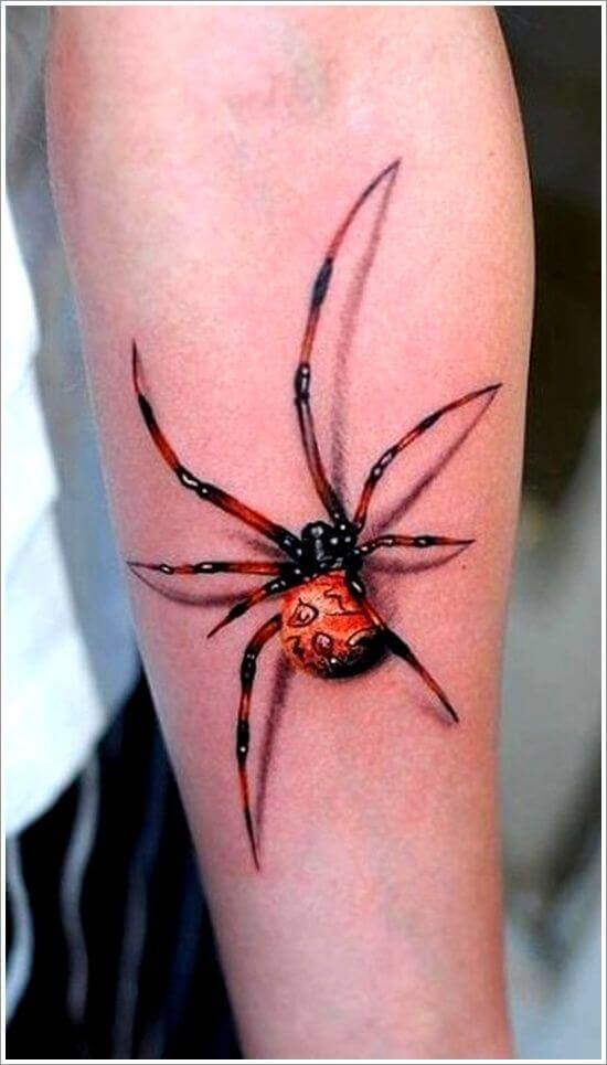 Красночёрный паук