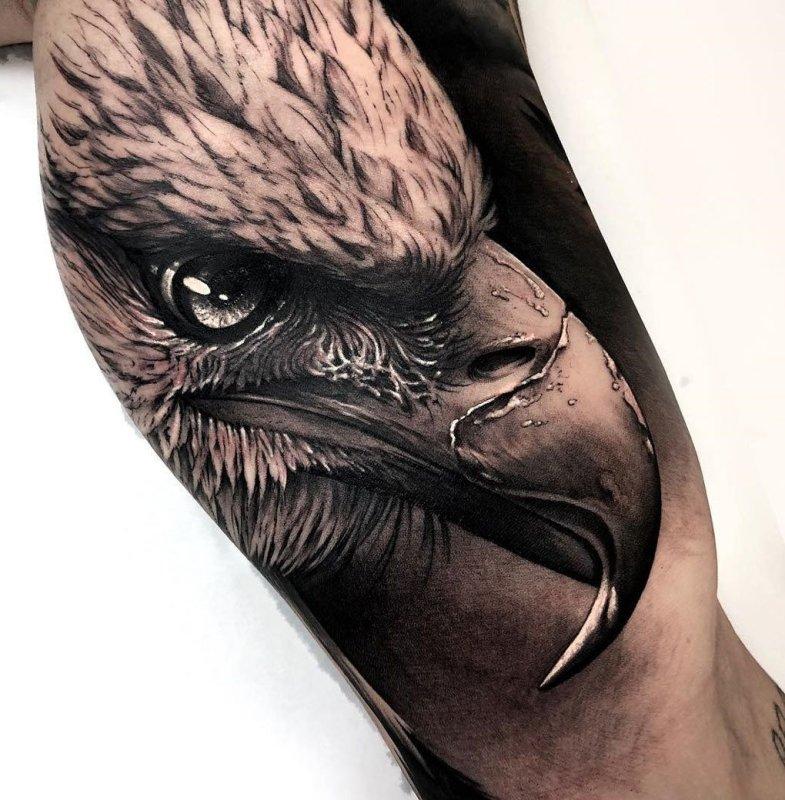 Орел на руке арт