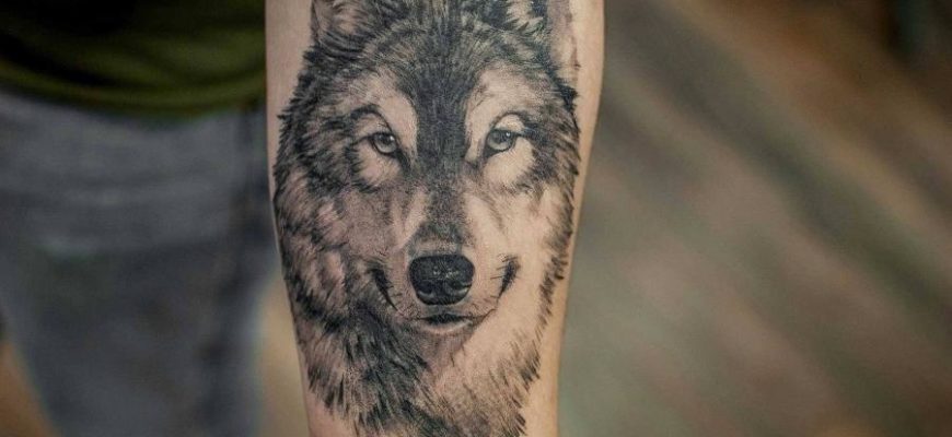 Татуировки волк: значение и 141 фото и эскизов